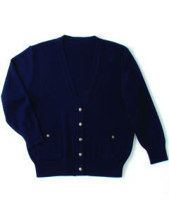 ItBX jtH[  t  nlNg[ JE^[rY q J[fBK 8173-1