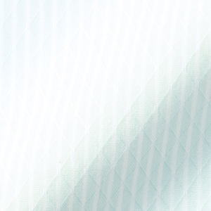ItBX jtH[  t  {}bNX BON q uEX RB4538-4 O[